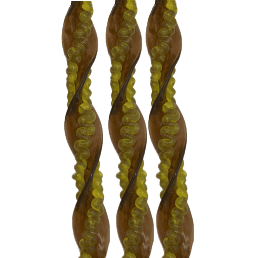 Amarillo