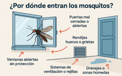 ¿Por dónde entran los mosquitos a tu casa? 🦟