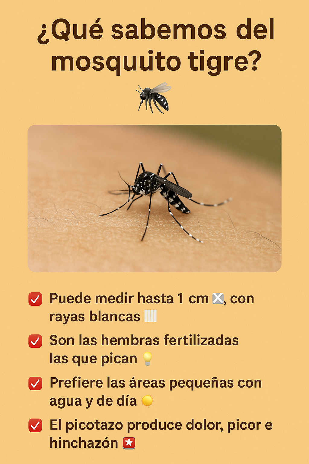 Infografía en español sobre el mosquito tigre, sus características físicas y hábitos de picadura.
